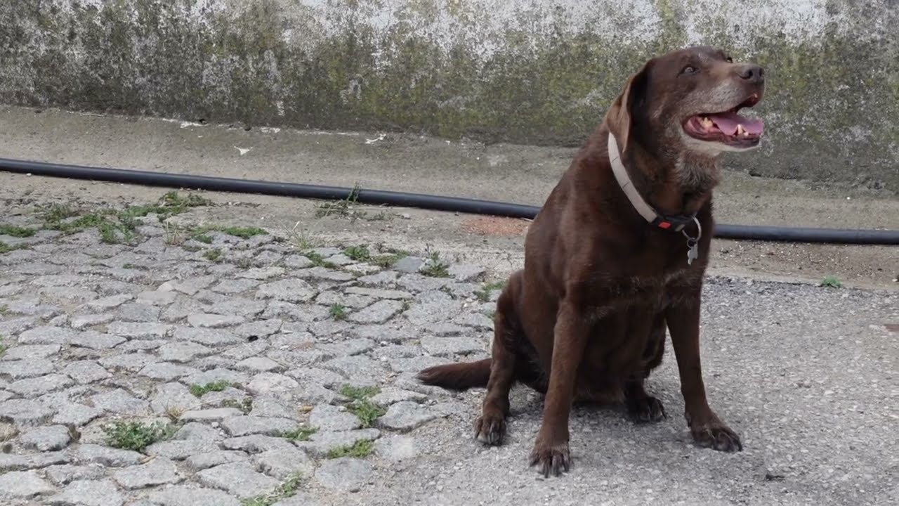 Roteiro Levantado do Chão: José Saramago em Monte Lavre