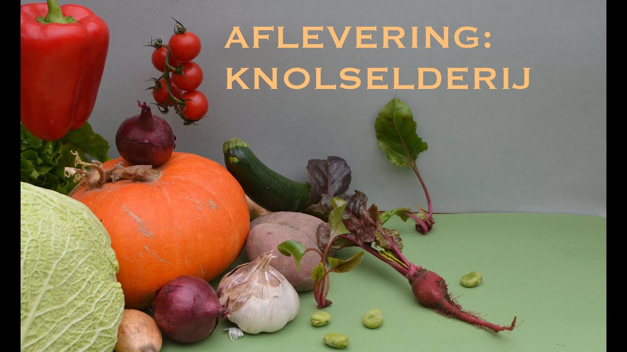 Groentejournaal: knolselderij