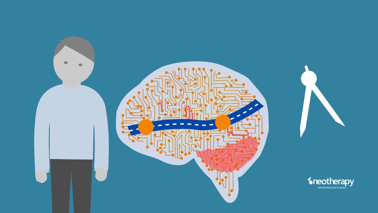 Neurofeedback y Neuroplasticidad