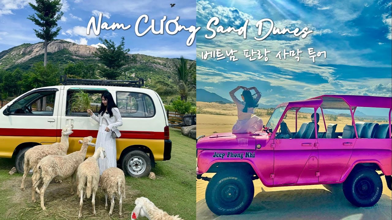 베트남 사막?!” 나트랑에서 2시간반 , 현실판 모래 왕국 체험기 🐫🌵판랑 사막 택시투어 가격,코스,예약,소요시간,꿀팁 총정리