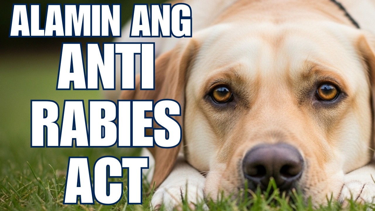 Anti-Rabies Act: Responsible Pet Ownership & The Law Every Fur Parent Should Know!
