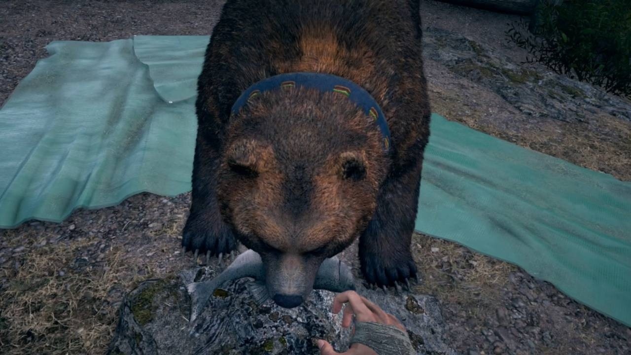The Grizzly Bear Cheeseburger! l Far Cry 5
