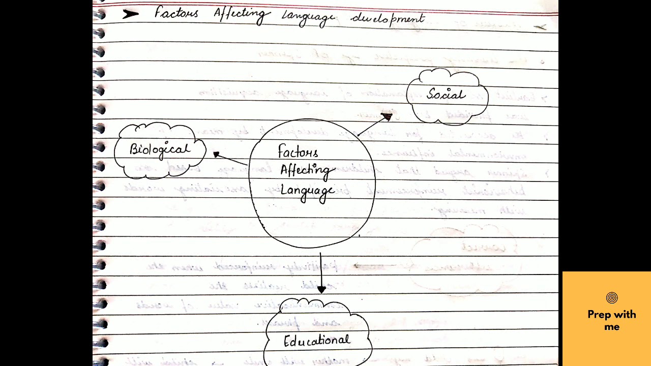 Language and Thought| Child development and pedagogy | CTET | DSSSB | KVS | NVS |