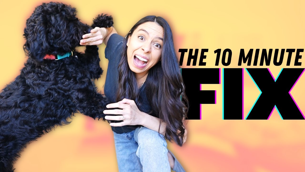 You Only Need 10 Minutes to Train Your Dog! 🤯