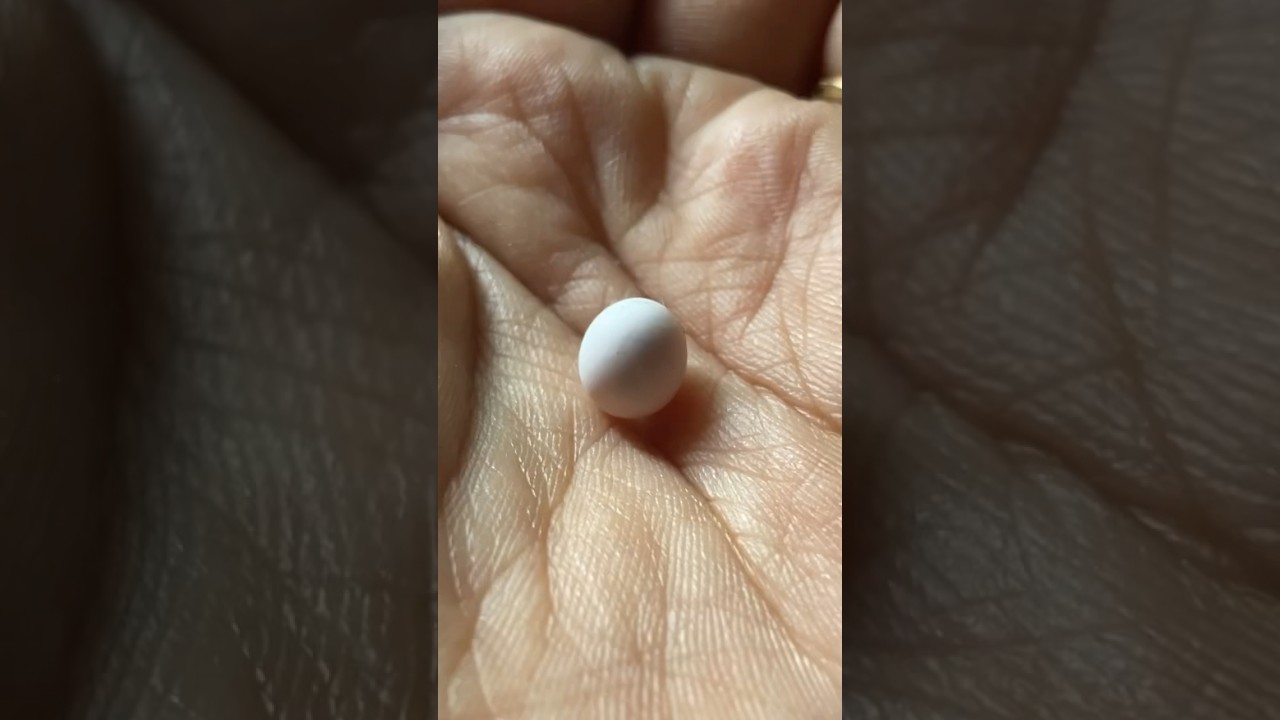Abandoned Tiny egg #lizard 🥚 #animals #youtubeshorts #trending