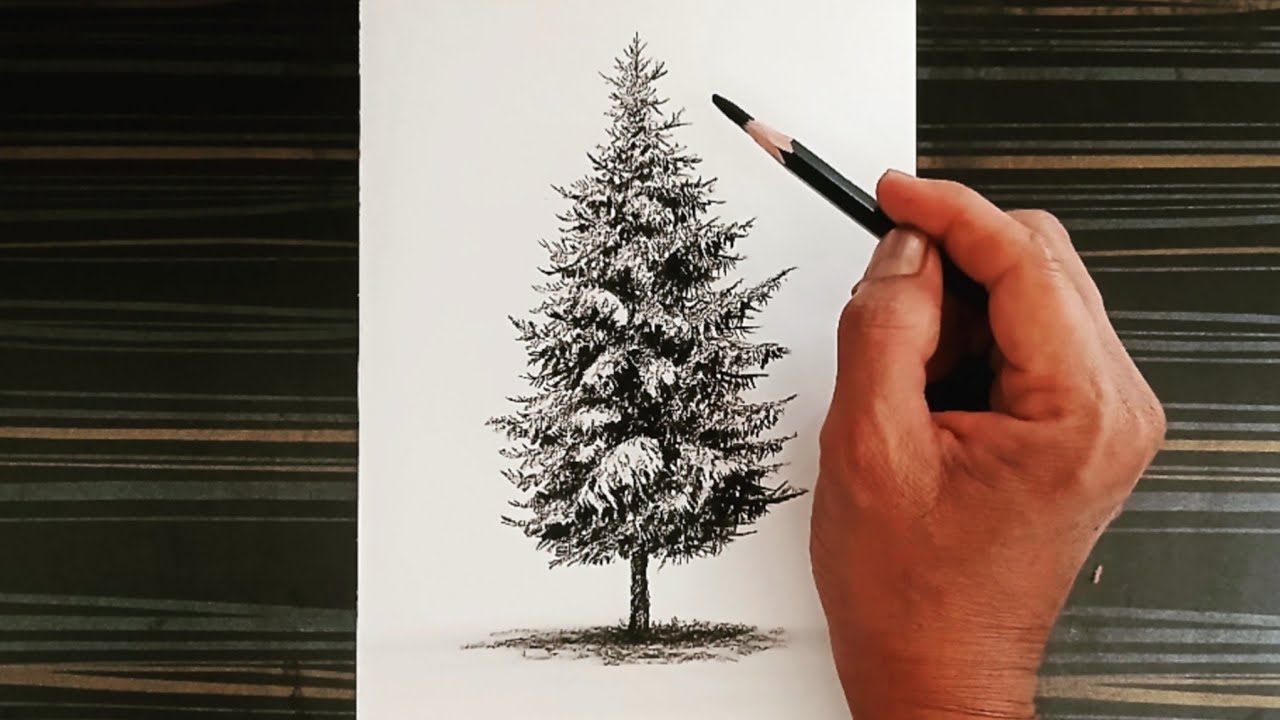 How to draw a snowy tree by charcoal pencil without eraser.