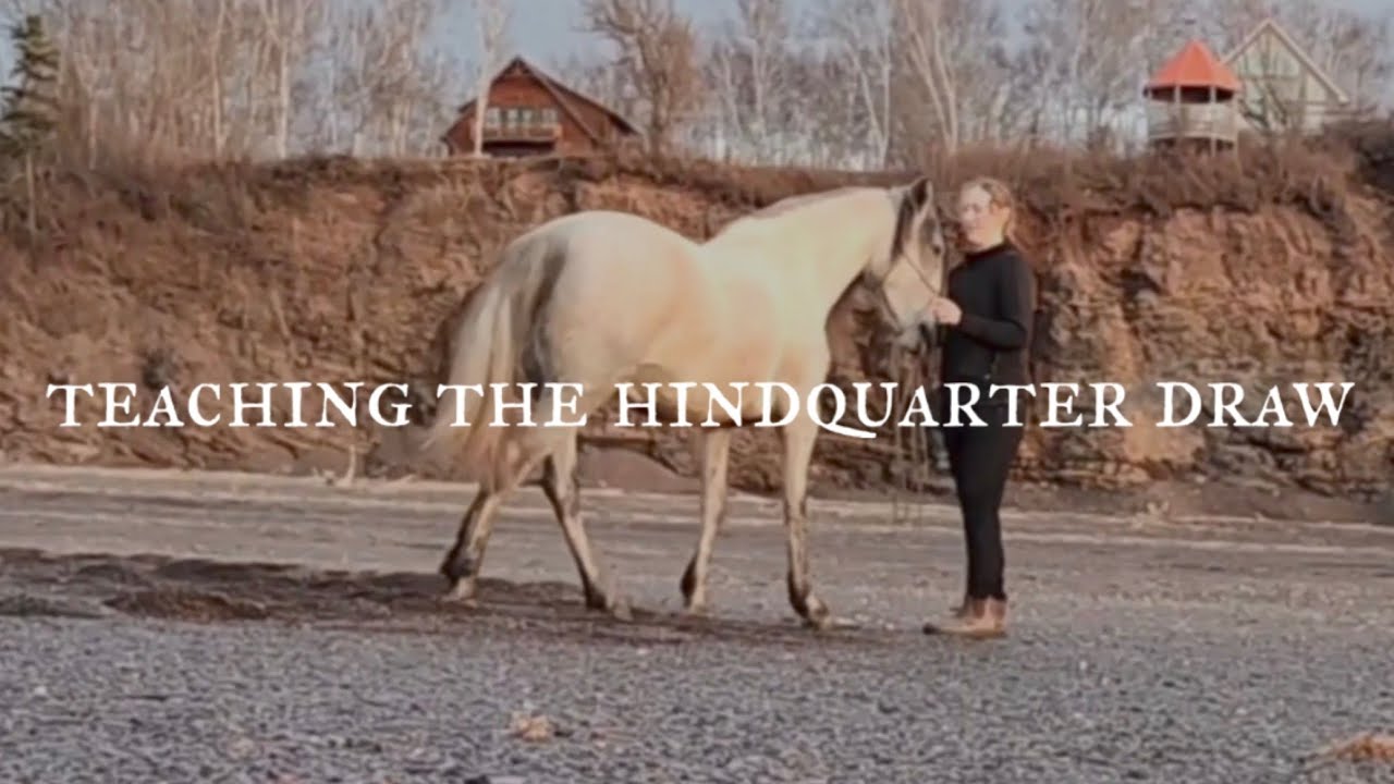 How to teach a horse to draw their hindquarters (aka sideways towards)