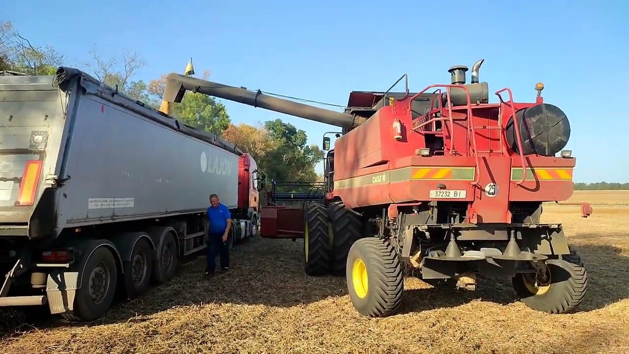молотимо сою❗супер візок під всі жатки❗кукурудза волога❗густіше не ліпше😃🧐🤨