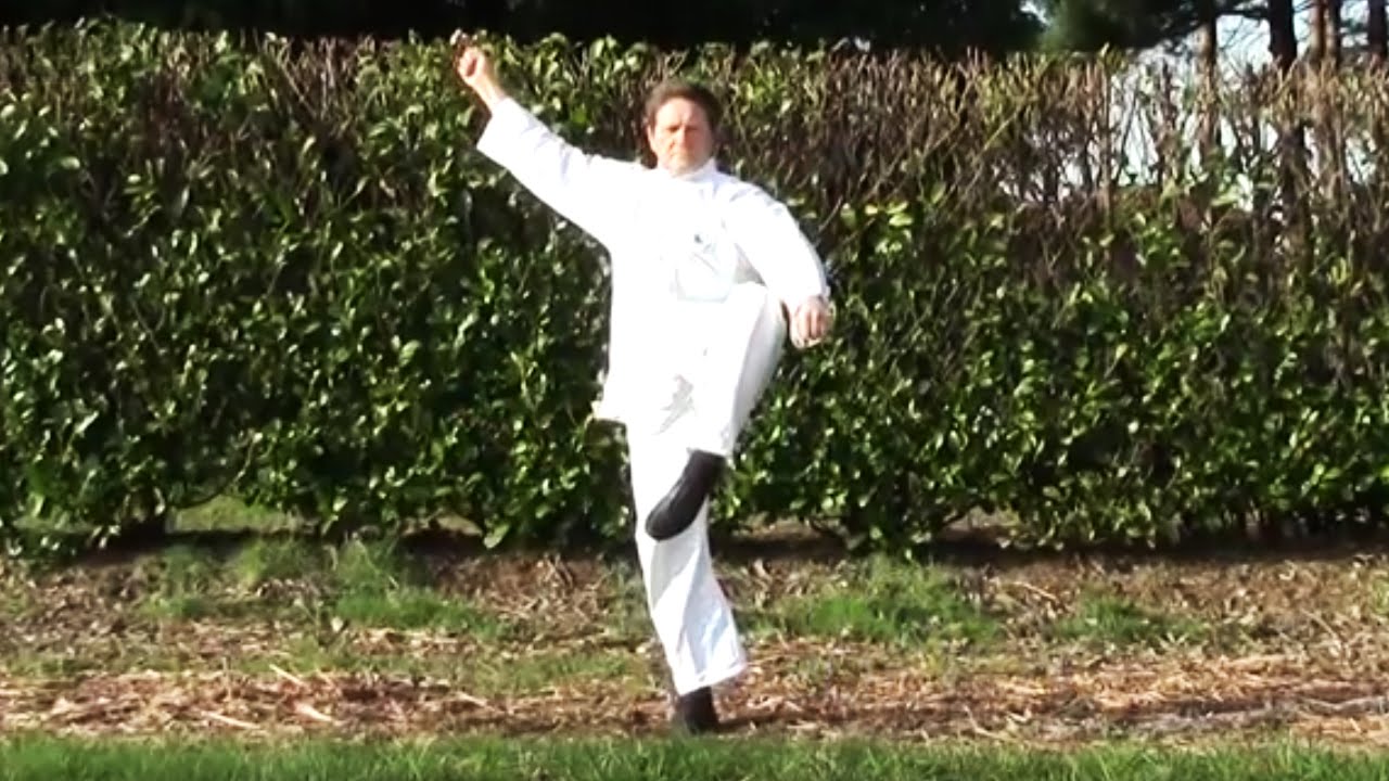 Pa Tuan Chin Ti I Lu - Fabrizio Baratelli - Tai Chi Online - Area download video