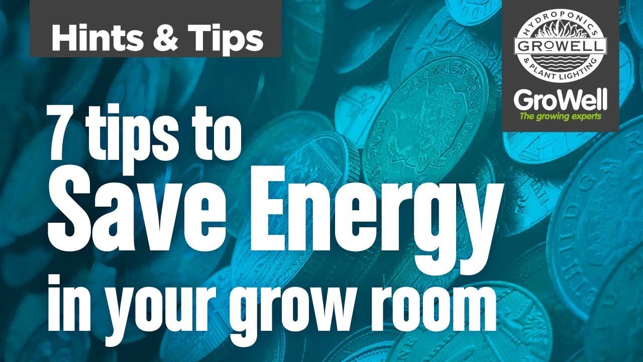 7 Ways to Save Energy in your Grow Room! | Hints & Tips