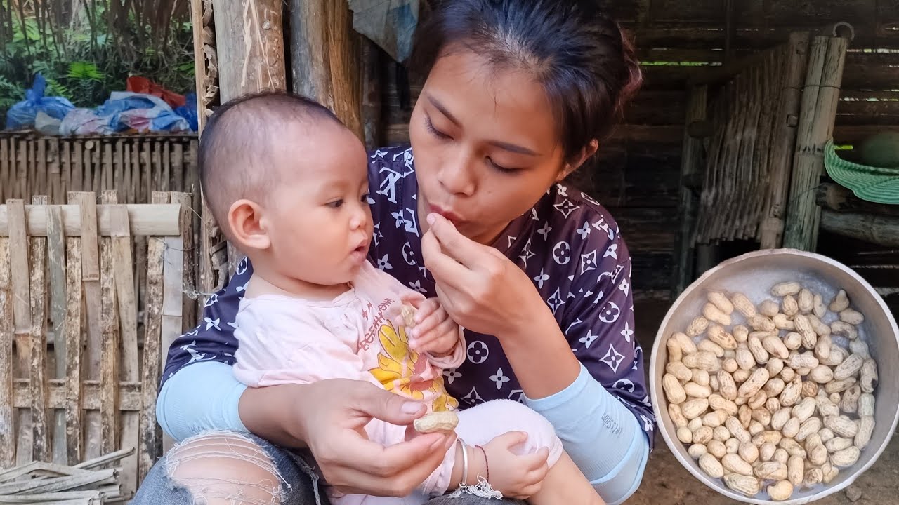 Harvest peanuts to sell. Daily work of a single mother
