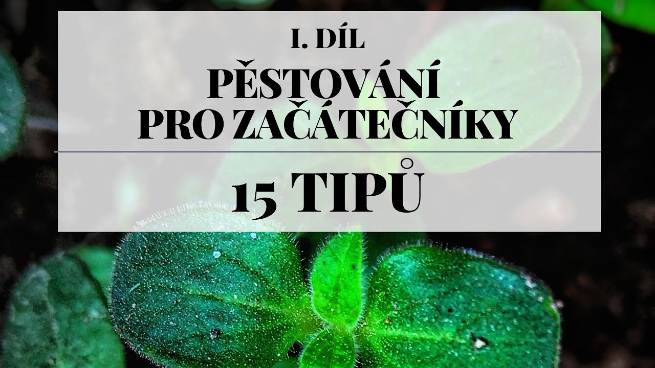 Pěstování pro začátečníky 1. díl - 15 tipů než začnete