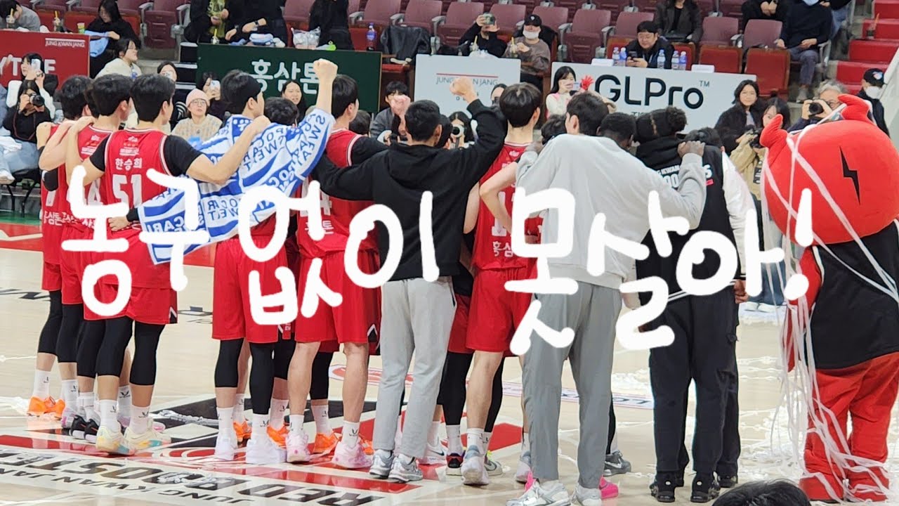 와 오늘 미쳤다(P) 농구 없이 못살아🏀 정관아 첫 D리그 농구직관브이로그