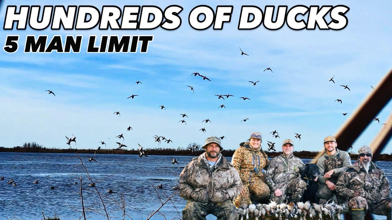 HUNDREDS of Ducks Coming In! (5 Man Limit on the Marsh)