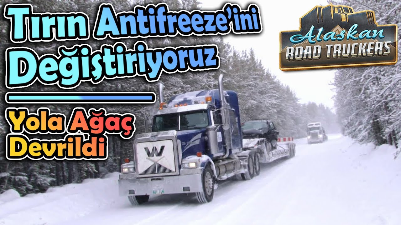 Yola Ağaç Devrildi // Tırın Antifrizini Değiştiriyoruz | Alaskan Road Truckers !!