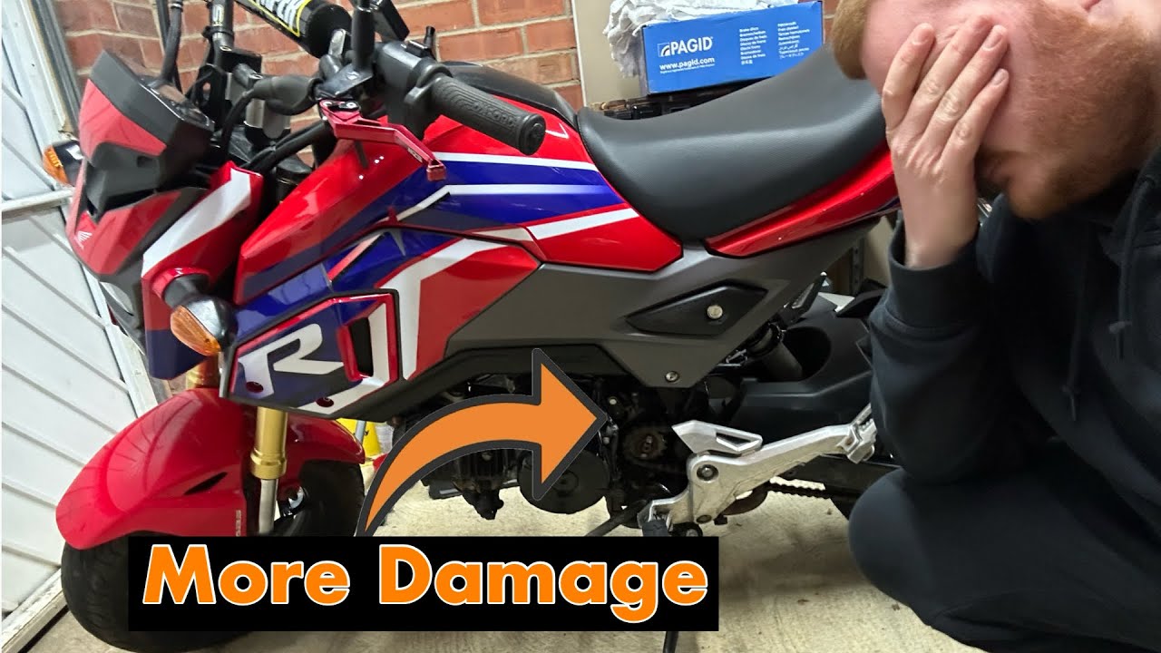 I SHOULDN’T have bought this AUCTIONED Honda Grom