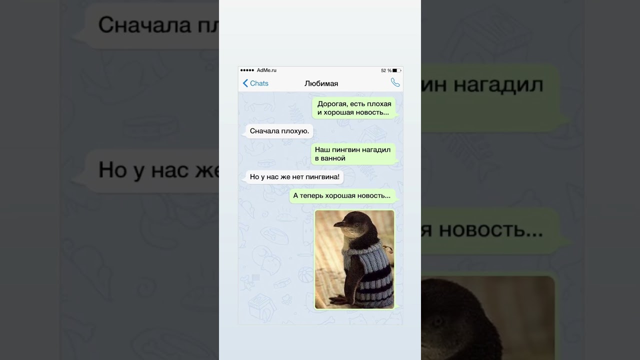 #юмор #приколы  #шутка #funny #humor #viral
