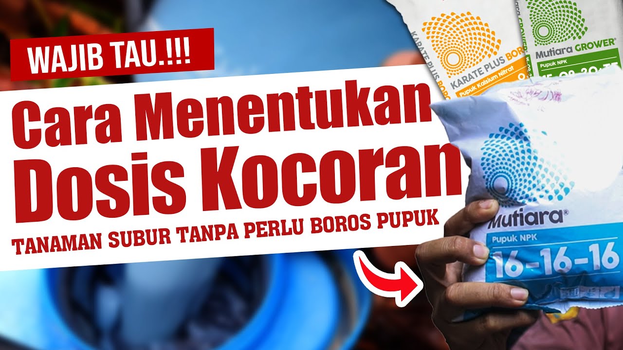 WAJIB TAU..❗❗❗ CARA MENENTUKAN DOSIS KOCOR PEMUPUKAN | Agar Tanaman Subur Tanpa Perlu Boros Pupuk