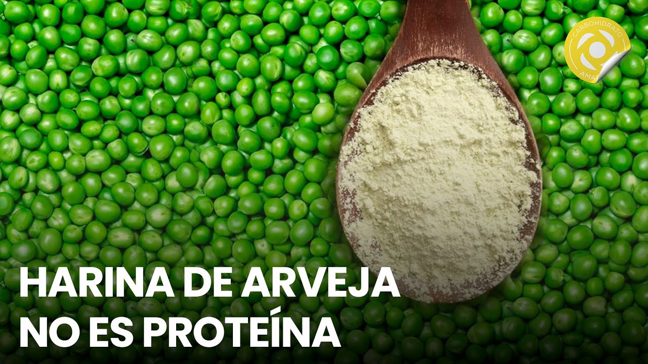 Harina y proteína de arveja - Conferencia #13 - Contra las enfermedades (Fragmento)