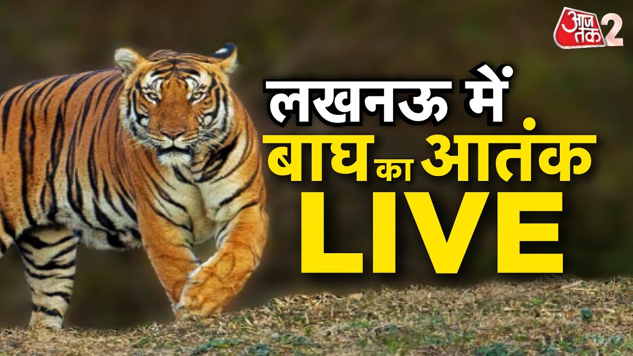 AAJTAK 2 LIVE | LUCKNOW के KAKORI में TIGER का आतंक! पूरे इलाके में फैली दहशत | AT2