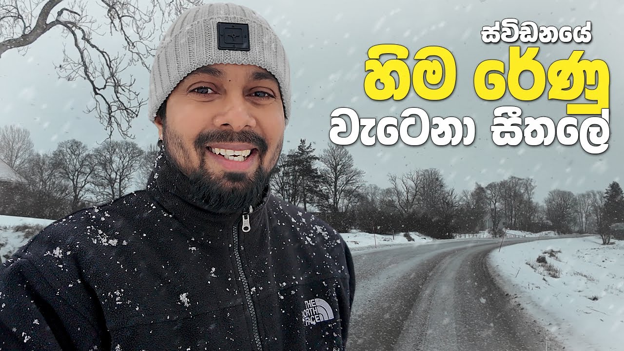 හිම වැටෙන ලස්සන දවසක ස්විඩනයේ ගම්මැද්දෙන් - Snow flakes falling over Sweden countryside
