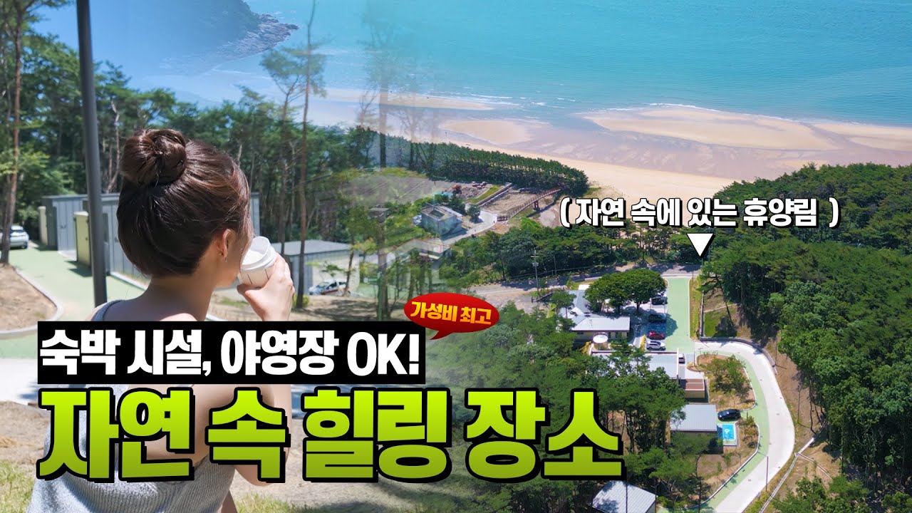 올 여름 특별한 힐링은 어떤가요? 숲 속의 휴양지, 덕적도 자연휴양림으로!