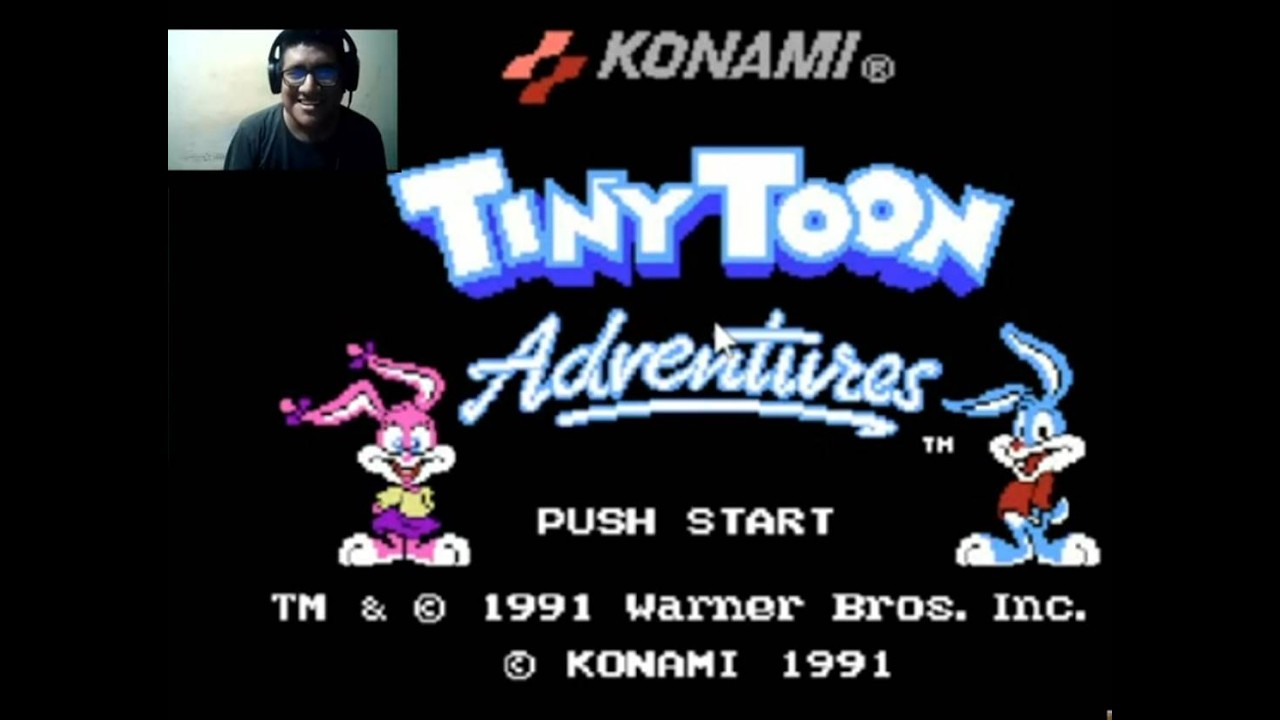 Tiny Toon Adventures NES