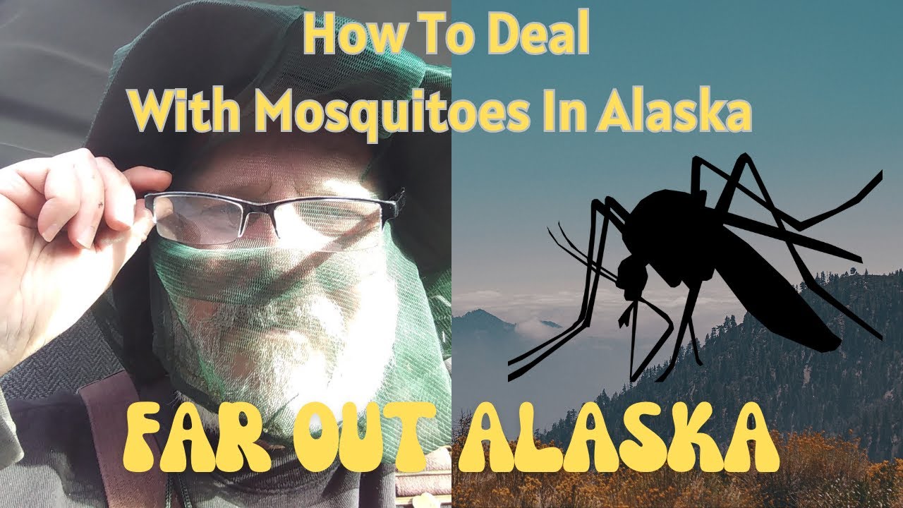 How We Deal With Mosquitoes in Alaska | How We Avoid These Bugs