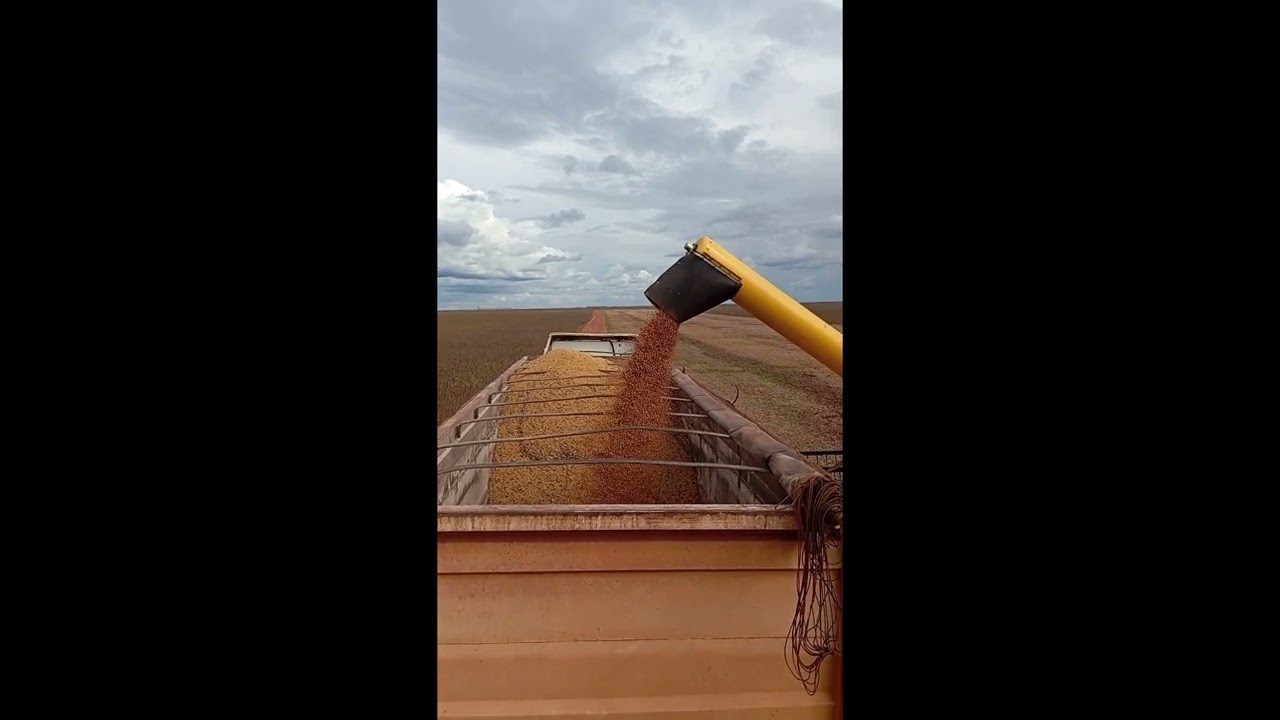 Começou mas uma vez hora de terminar o restante da soja🫡