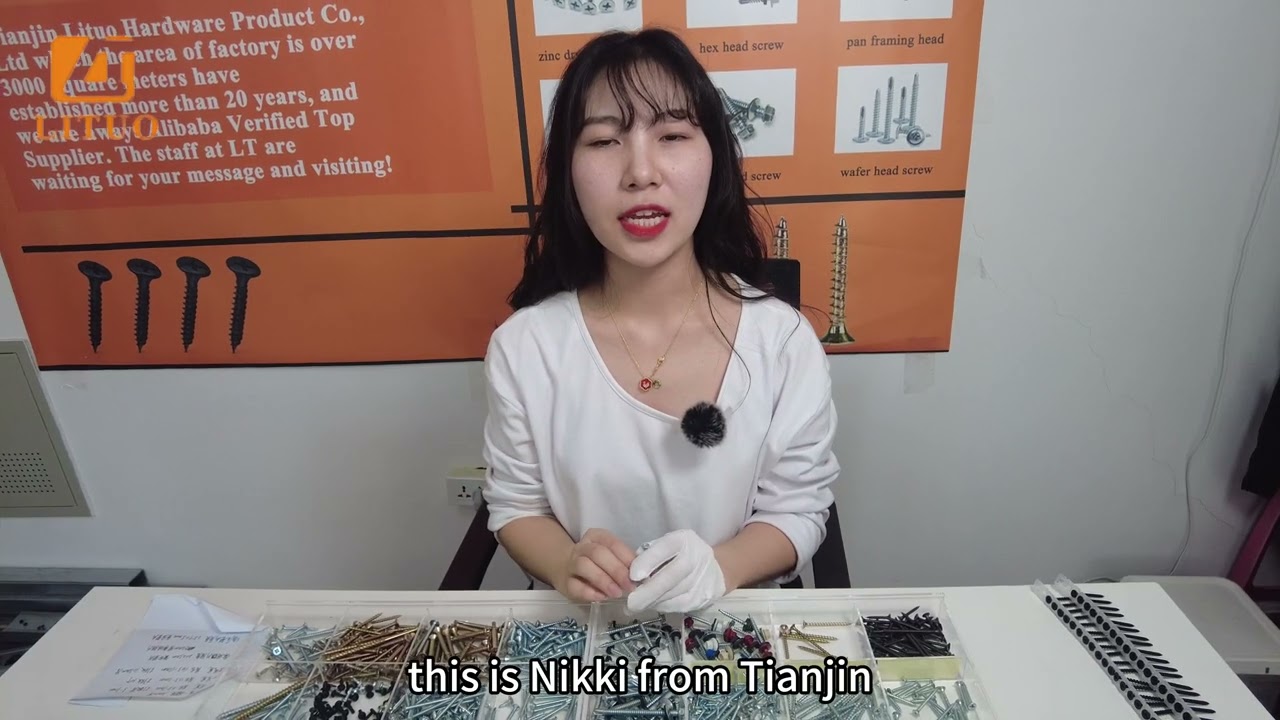 Professional screw manufacturer&mdash;&mdash;Tianjin Lituo Imp. &Exp. Co., Ltd