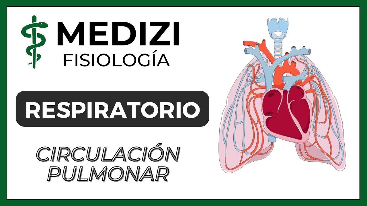 Clase 38 Fisiología Respiratoria - Circulación Pulmonar (Edema Pulmonar) (IG:@doctor.paiva)
