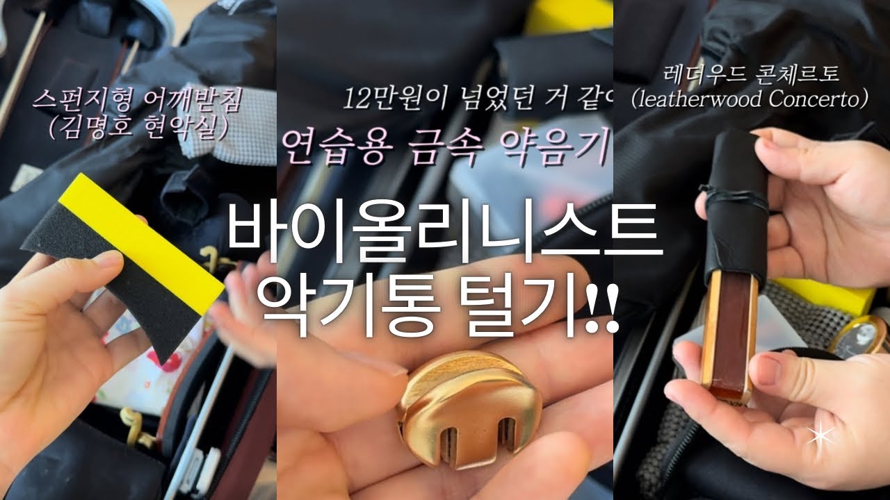 바이올리니스트의 악기통을 털어라!! 1탄 (꿀템 대방출!!!!)