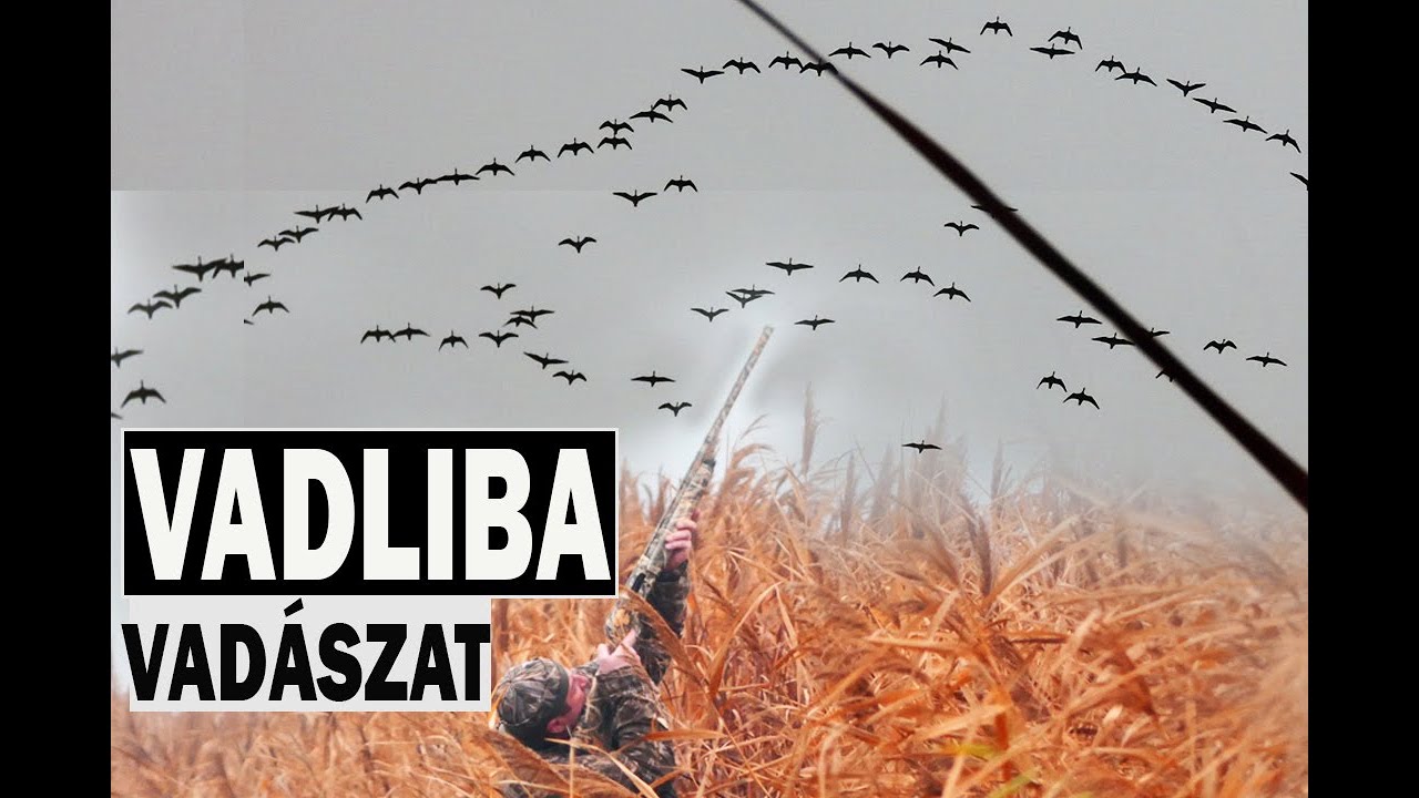 Vadliba vadászat 1.rész