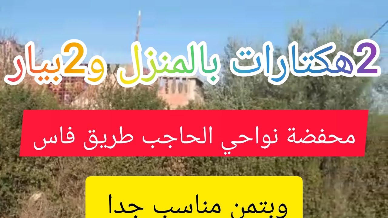 فيرمة 2هكتارات بالدار محفضة وبتمن مناسب ‎@3a9aratchaykh 