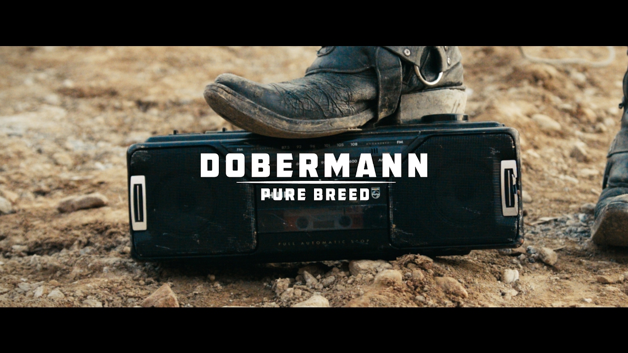 Dobermann -  
