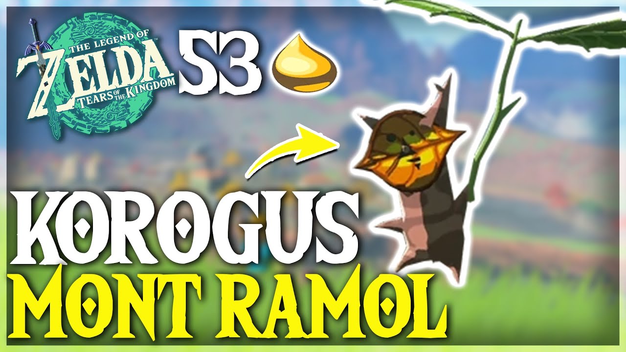 Toutes les NOIX KOROGU du MONT RAMOL dans Zelda Tears of the Kingdom - TUTO ZELDA TOTK