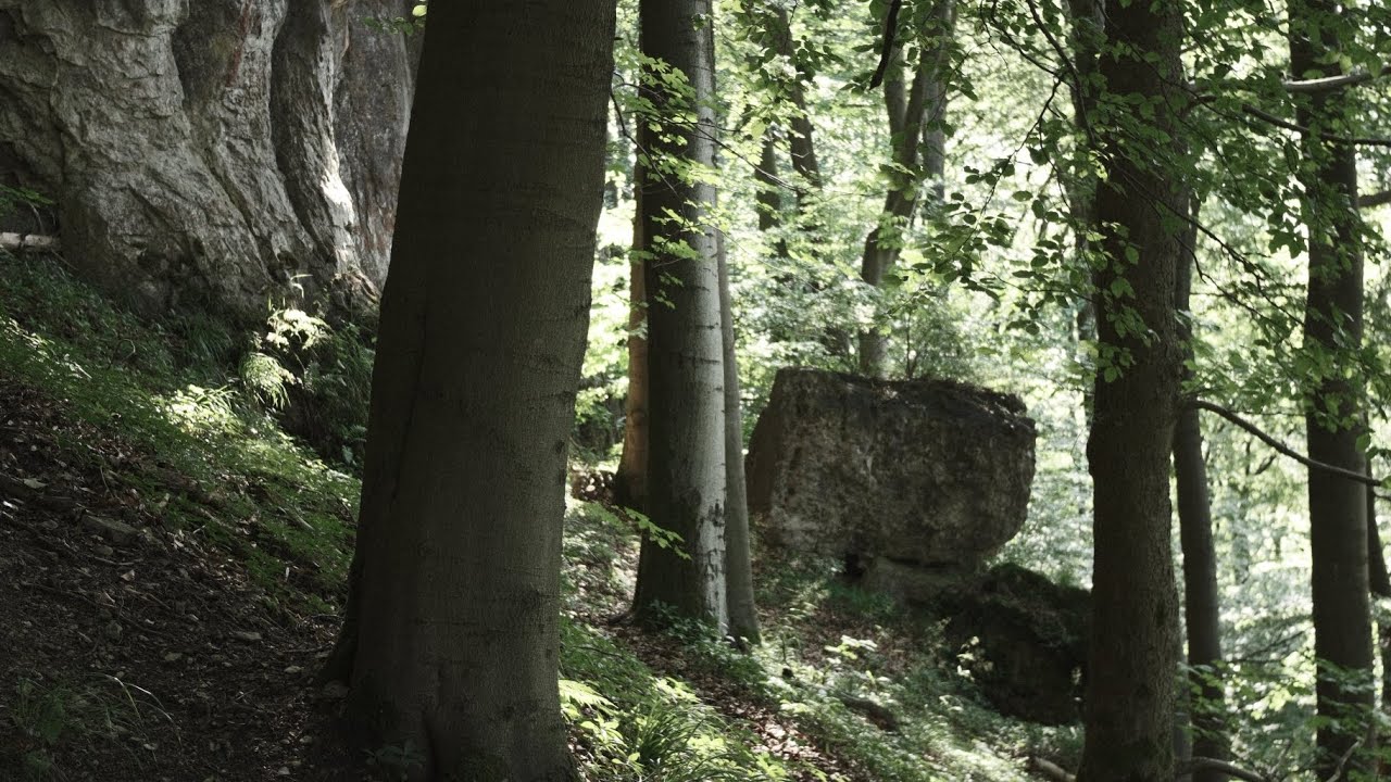 Das Gebiet um den Kanstein - Ein Mystischer Ort