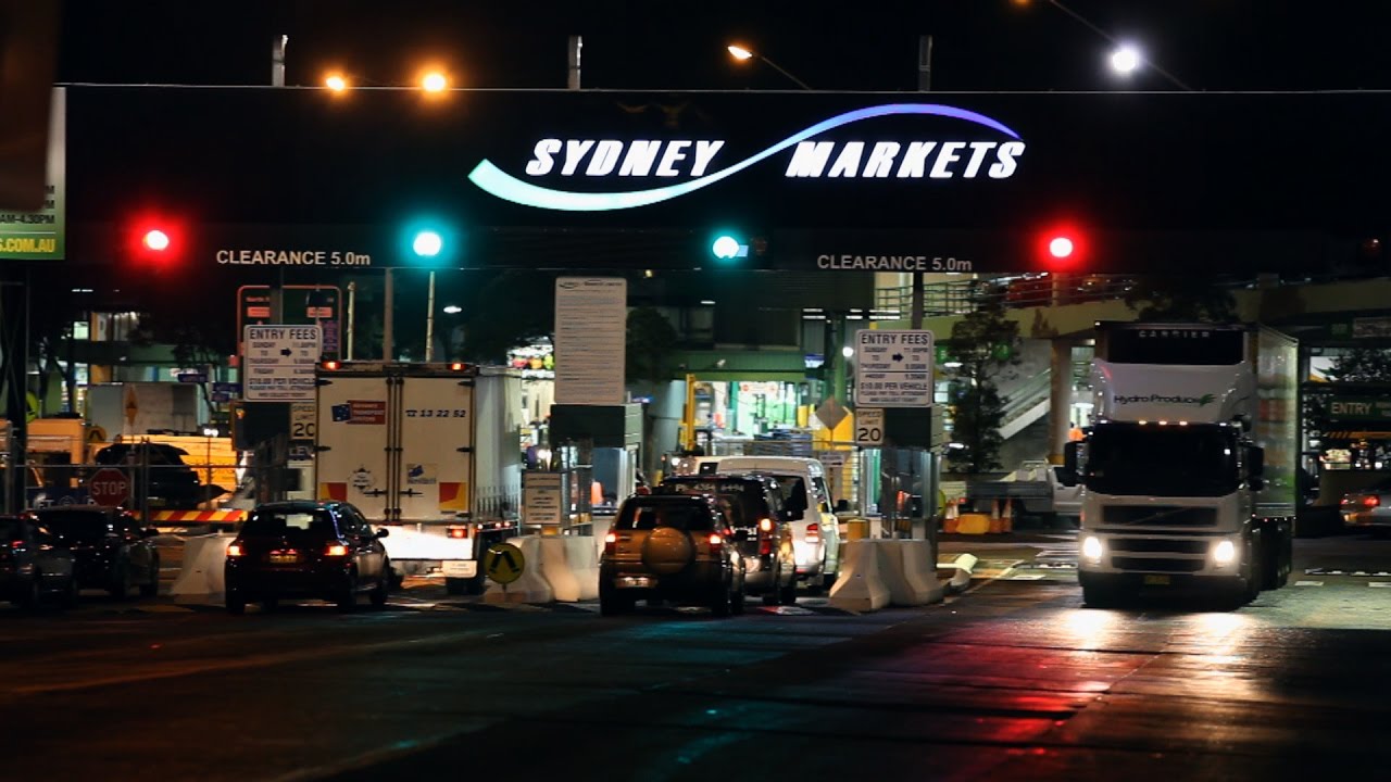 Welcome to Sydney Markets - Life Inside the Markets Opener
