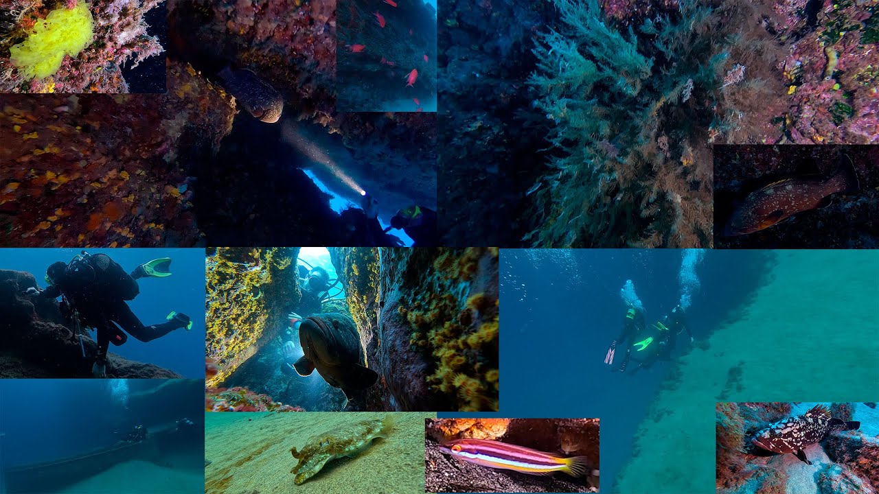 Buceo en La Catedral, Playa Chica, Puerto del Carmen Lanzarote 8-12-2024