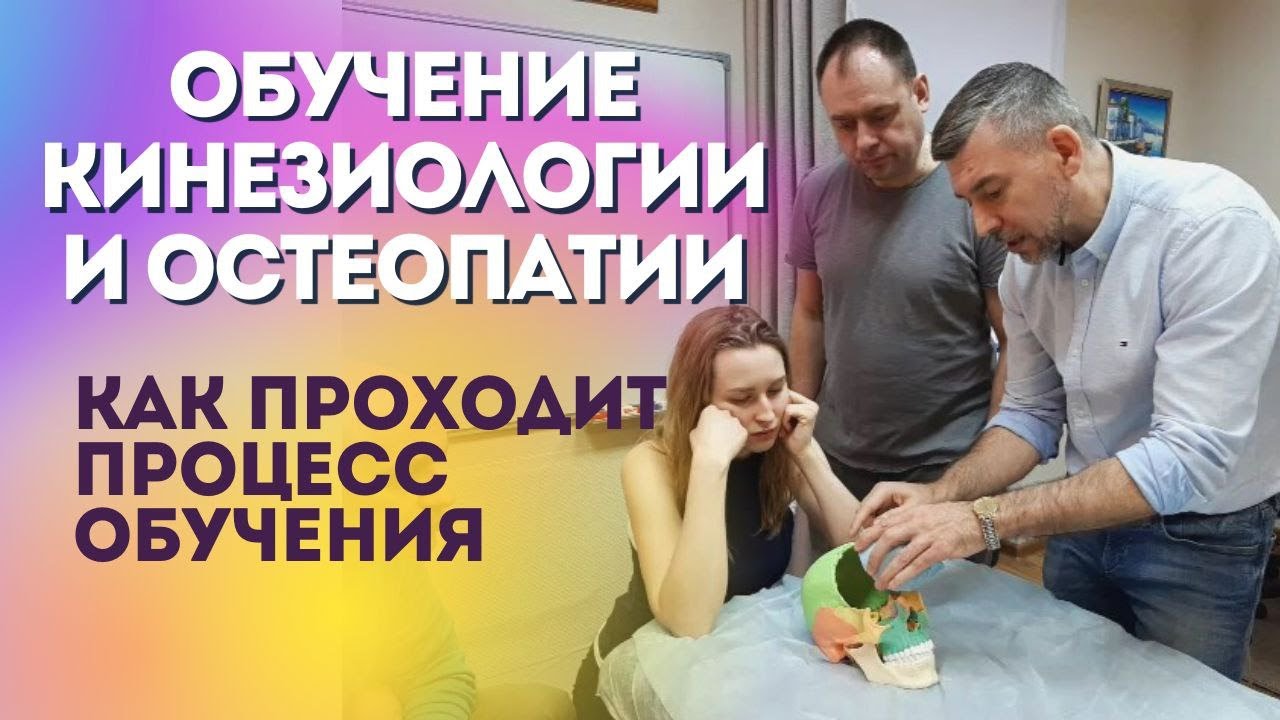 Обучение кинезиологии, остеопатии и массажу в Москве. Как проходит обучение.