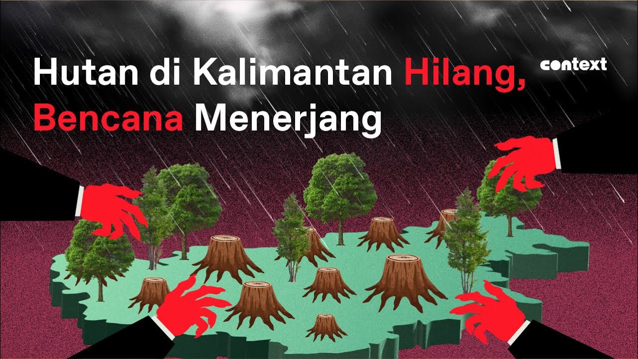 Marak Deforestasi, Kalimantan Masih Layak Sebagai Paru-Paru Dunia?