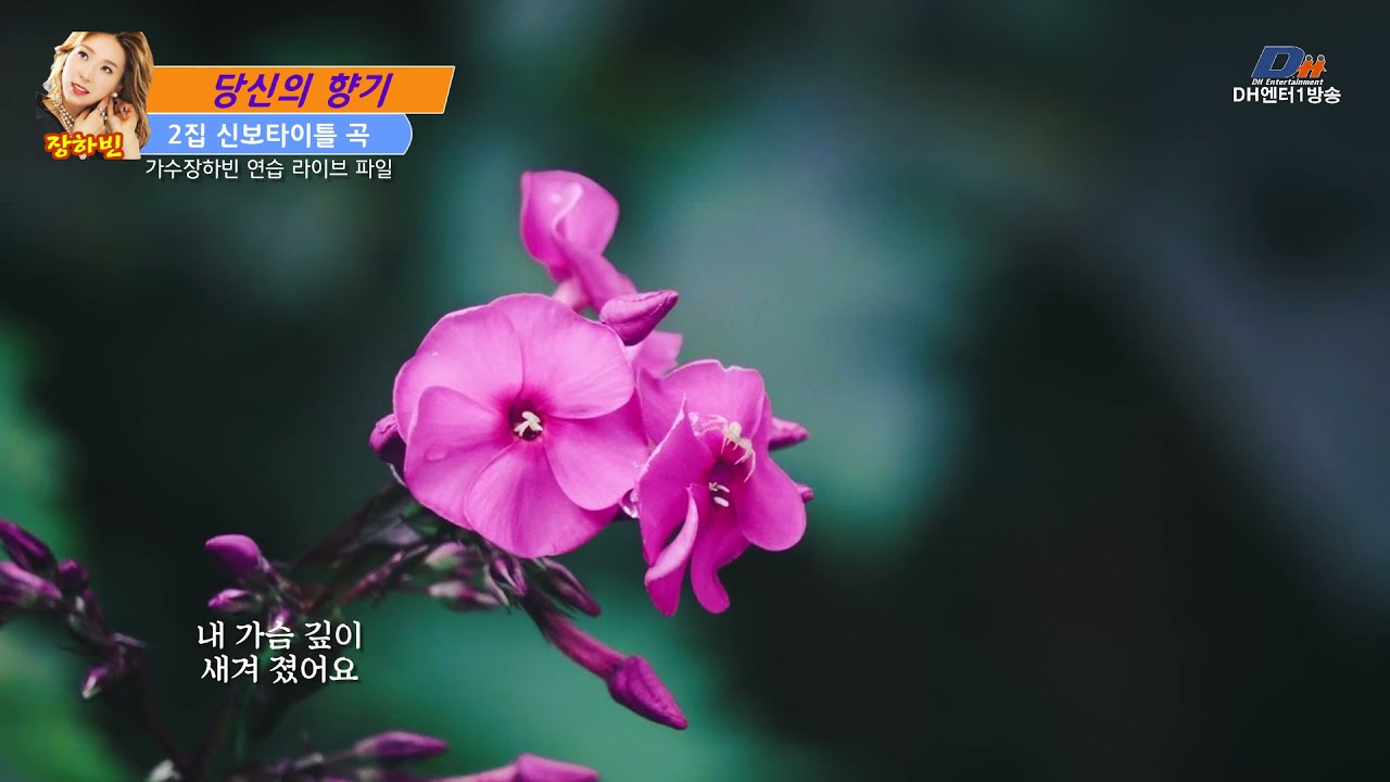 [장하빈 2집신보 타이틀 곡]_당신의 향기(연습파일)#장하빈 #가수장하빈 #당신의향기 #장하빈신곡 #DH엔터테인먼트