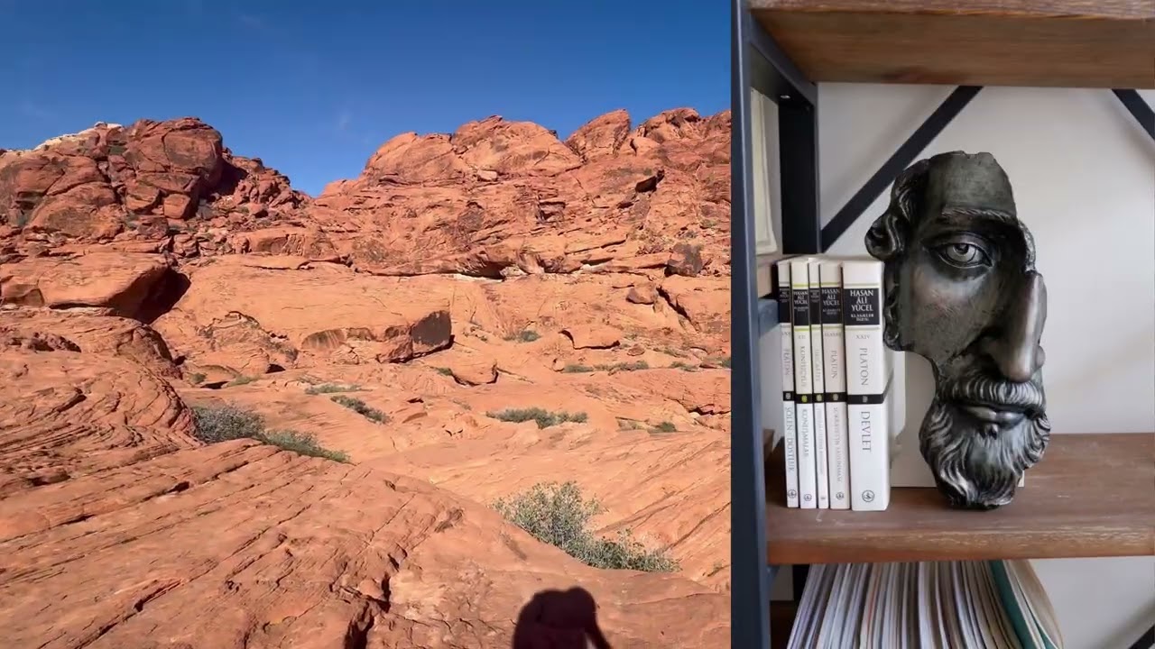 حين يزداد العالم جنونًا… تبدأ رواقية ماركوس أوريليوس