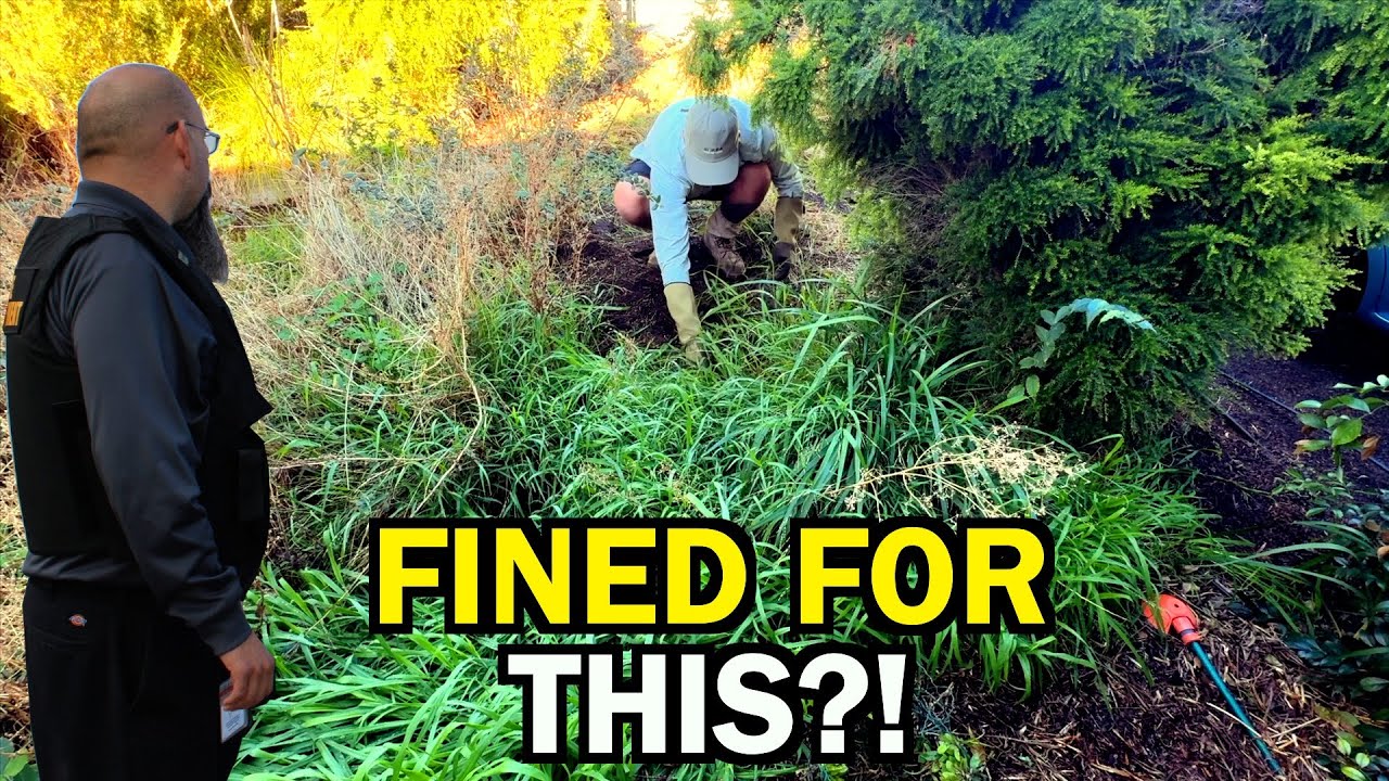 CODE ENFORCEMENT Threatened To FINE Her But I Made Them CHANGE Their Mind