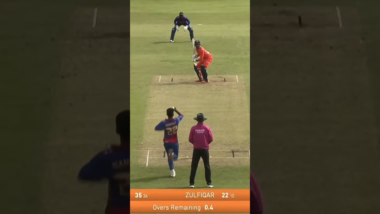 #Nepal vs Netherland #t20cricket #viral #nepal #perfect yorker by Nandan yadav😘😘😍😍
