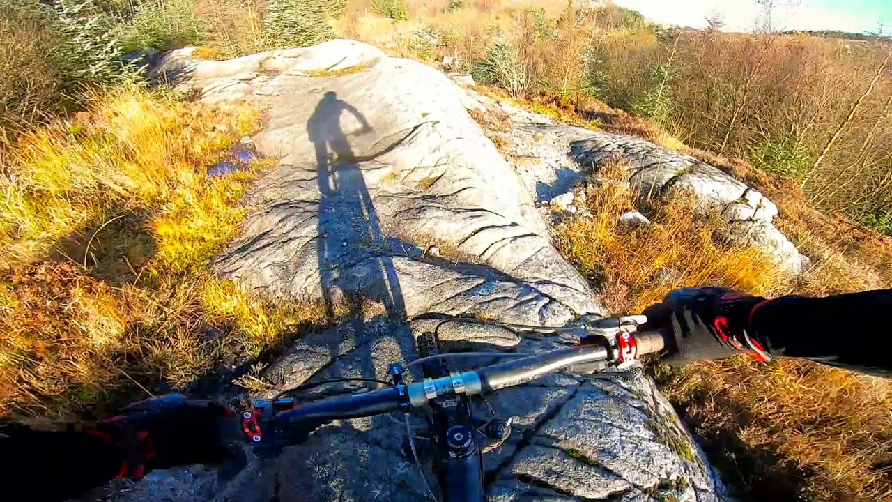 mcmoab kirroughtree