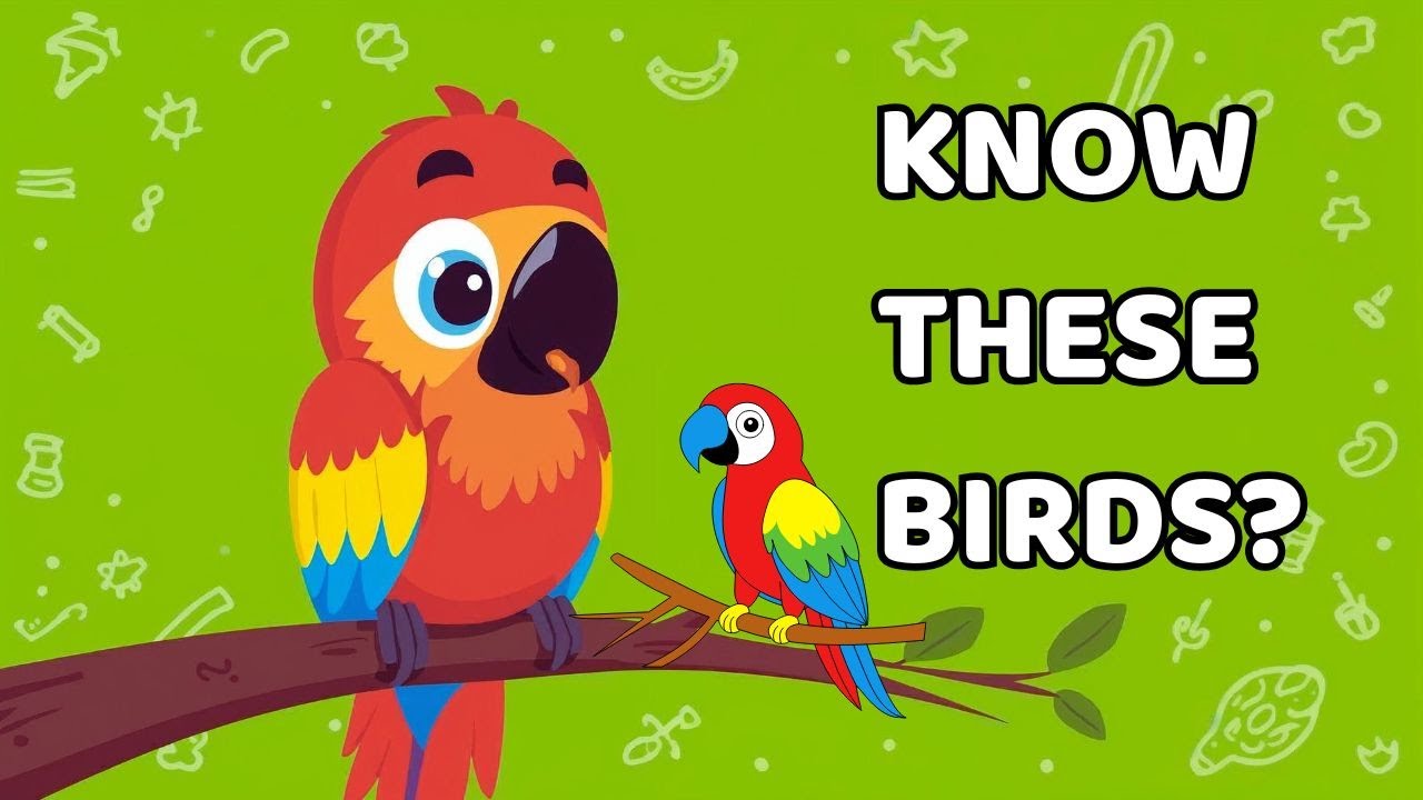 10 Birds Names in English 🐦 |  Learn Bird Names for Kids