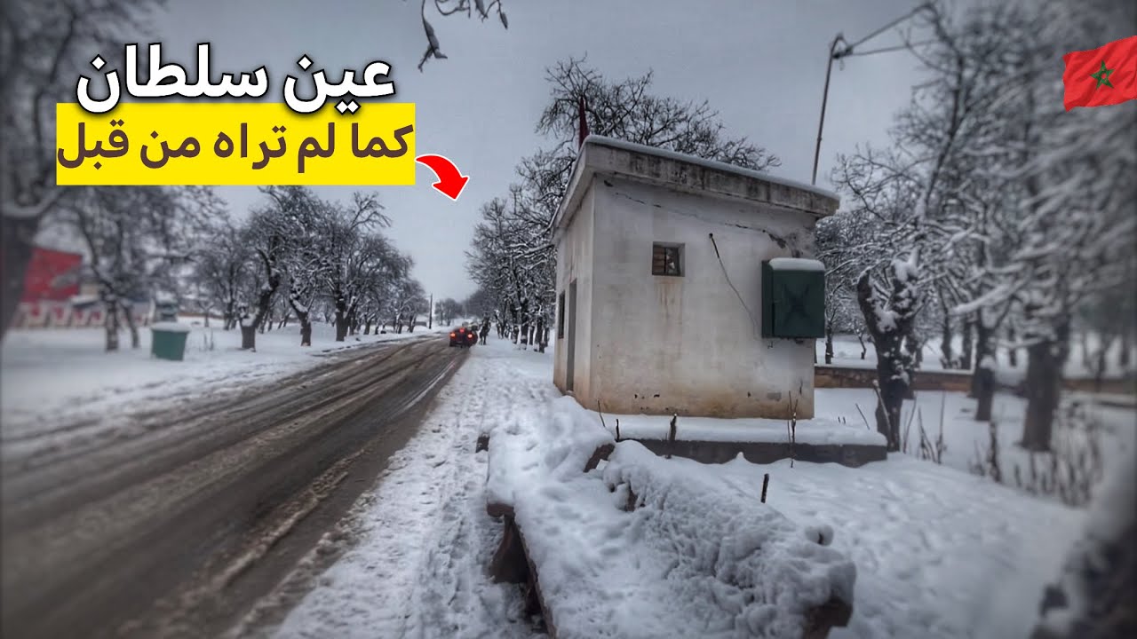 شاهد كيف اصبح منتزه عين سلطان بعد تساقطات الثلجية الأخيرة🌨️☃️