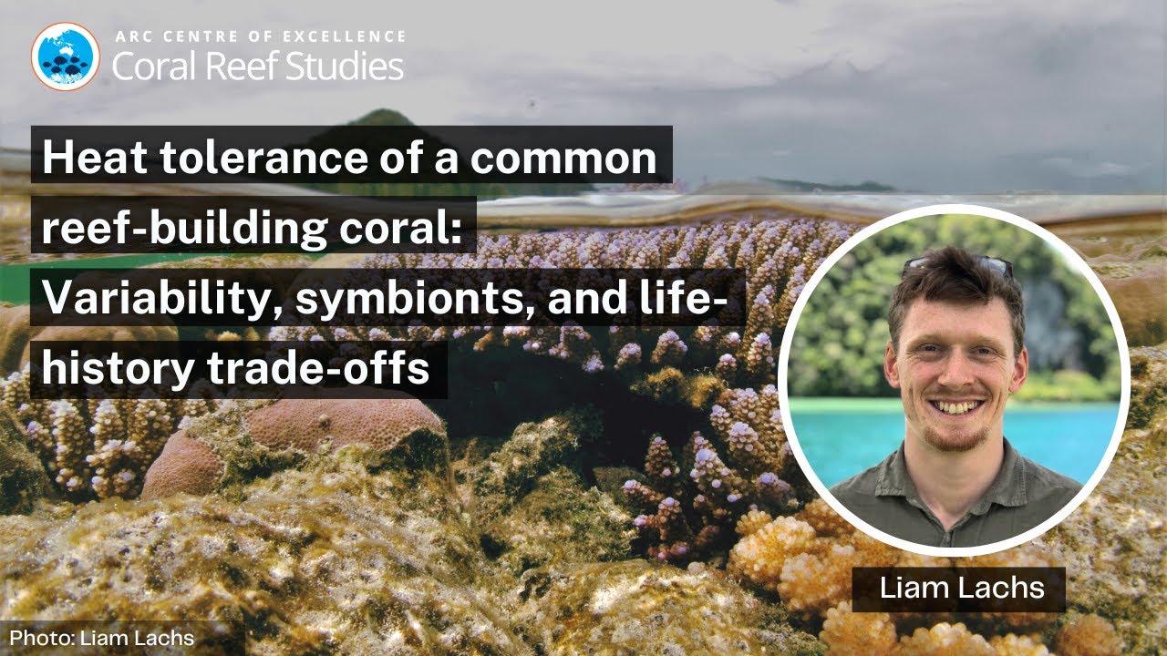 Heat tolerance of a common reef-building coral, a seminar by Liam Lachs