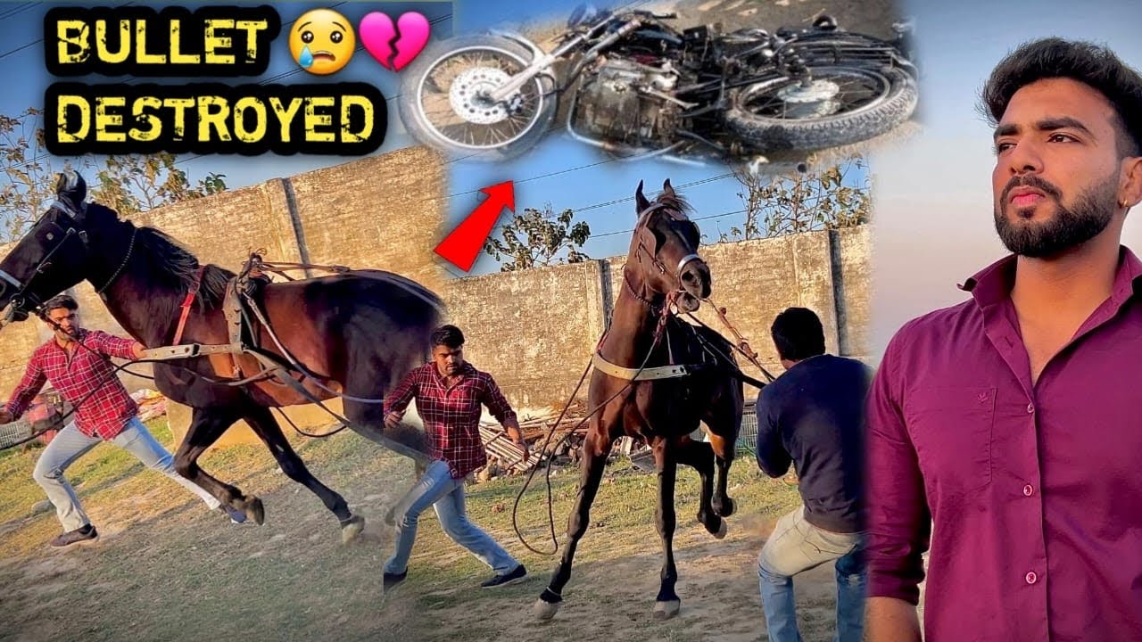 BIG Loss At PEHELWAN FARMS 🥺😰COMMANDO Destroyed Everything 💔Worst Day Of रथ TRAINING 💔
